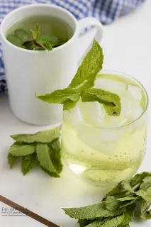 Fresh Mint Tea available online in Rwanda